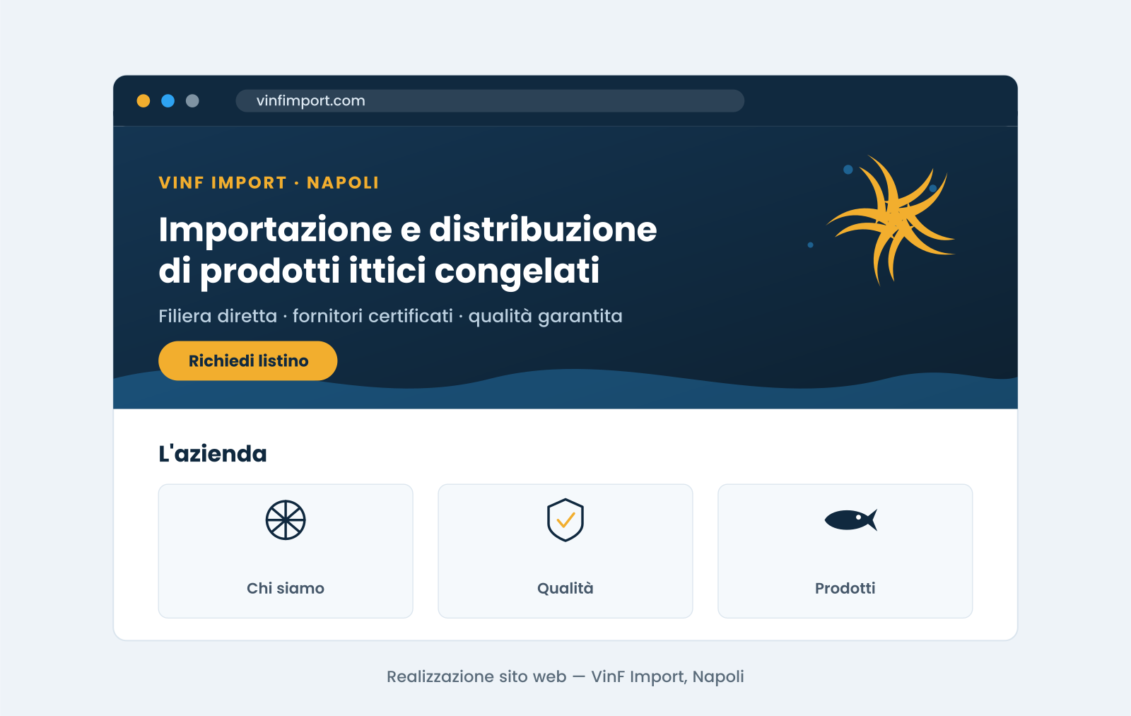 sito-web-vinf-import.png